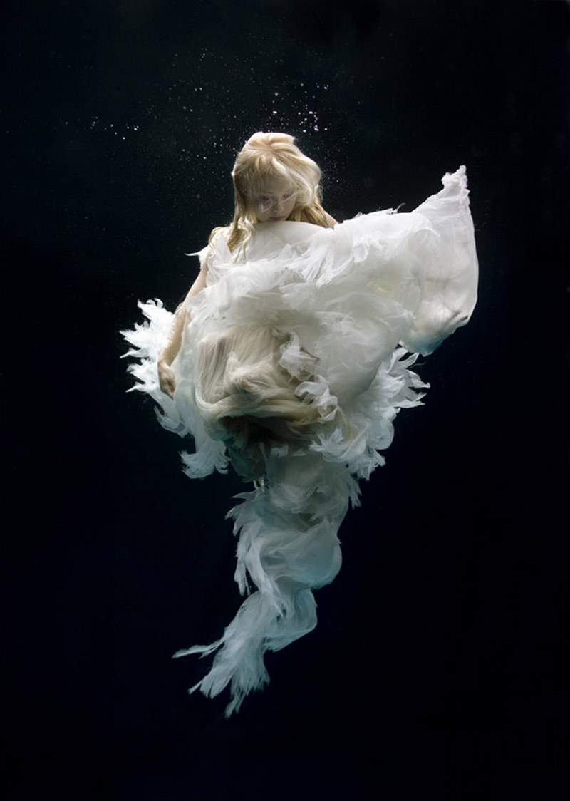 9-Underwater-photography-by-Zena-Holloway.jpg