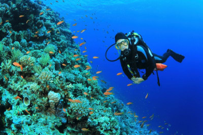 iStock_17898750_scuba-diving.jpg