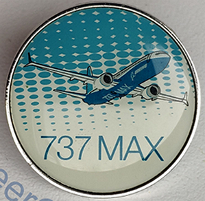 BOEING 737 MAX (1).png