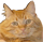 Нет новых сообщений