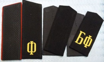 249061159.jpg