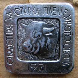 Н.Н. с-х37.jpg
