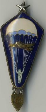 img333.jpg