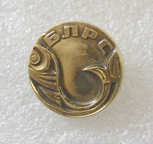 БЛРС.jpg