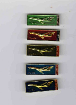 231.jpg