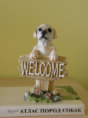 PA260076.jpg (65.34 КБ) 2766 просмотров PA260076.jpg