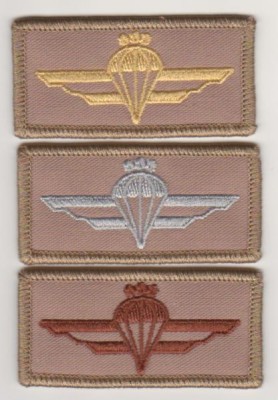 latvijos parawings.jpg