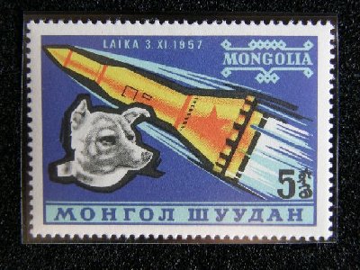 PA290024.jpg
