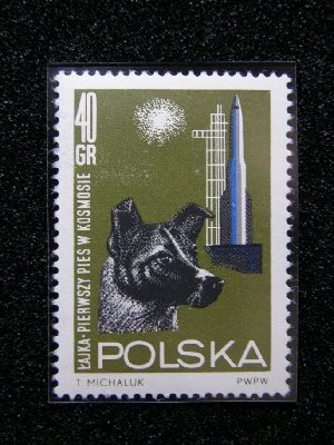 PA290018.jpg
