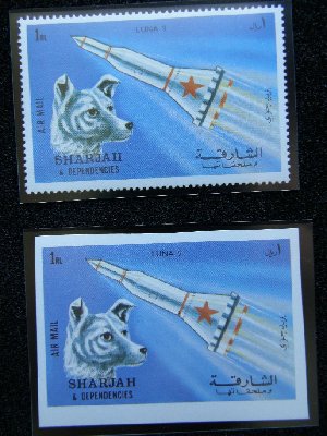 PB030002.jpg