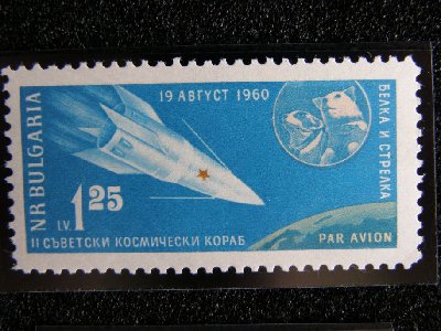 PA290016.jpg