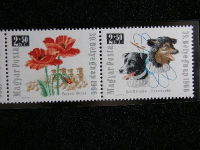 PA290009.jpg