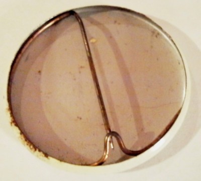 Трицератопс 2.jpg