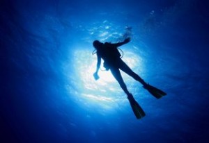 Diver-300x206.jpg