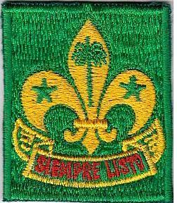 boy scouts 6.JPG