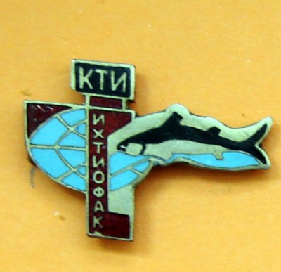 ИФ КТИ.jpg.jpg