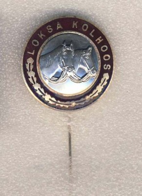 Колхоз Локса..jpg