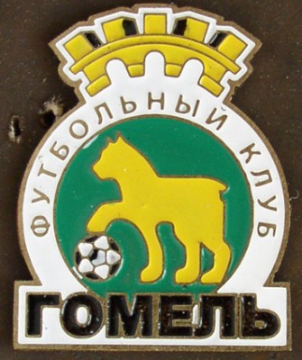 Гомель ФК.jpg