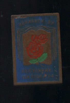 норильск выпускник школы тяж.jpg