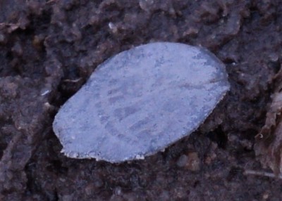 DSC06056.JPG