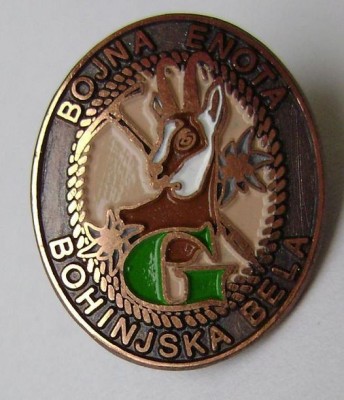 slovenu kalnu.jpg