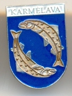 Copy (2) of kauno aps.jpg