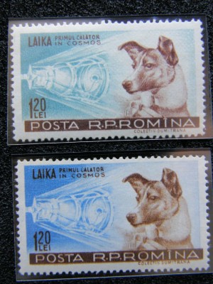 P1130027.jpg