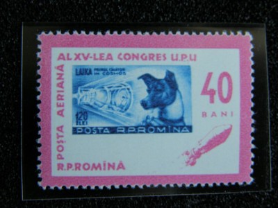 P1130032.jpg