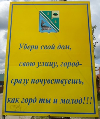 г.Рыбное (Рязанская обл.) DSC00866.JPG