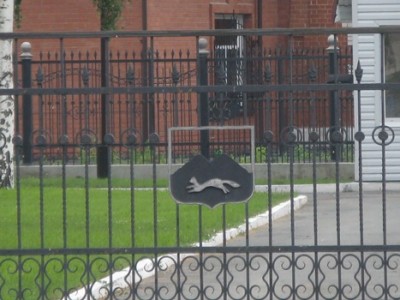 IMG_8806.JPG