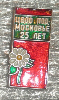 подмосковье 25.jpg