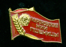 Мироновский-НИИ.jpg