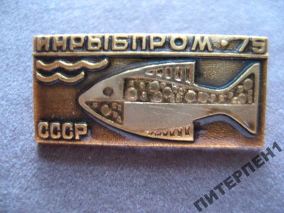 3482020002.jpg