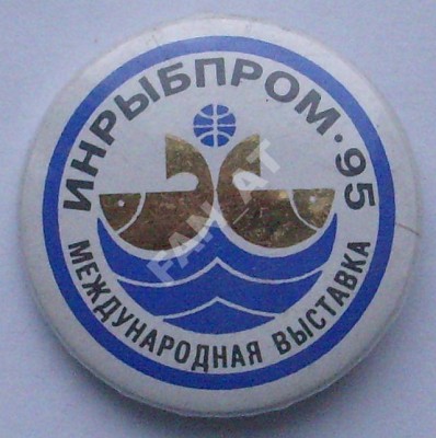 3482020002.jpg