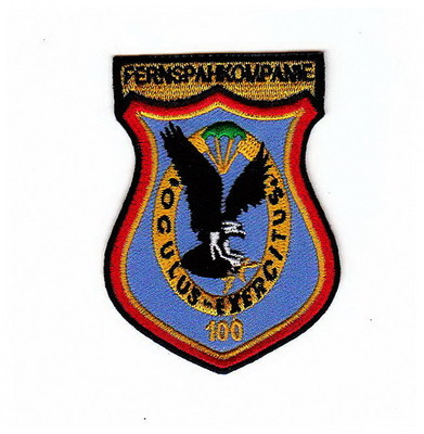 LRRS100co.jpg