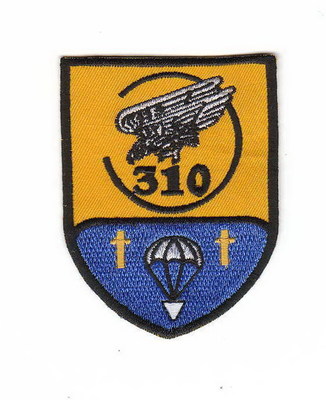 310co.jpg