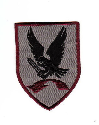 airassault div.jpg