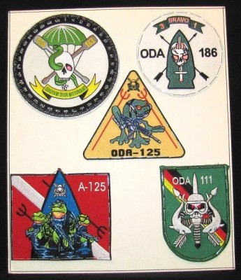ODA7.jpg