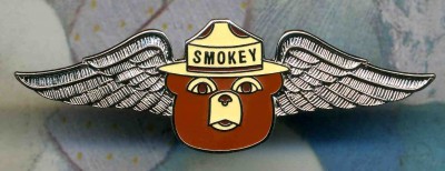 Silver Smokey Bear Wings Forest Fire Fighter Badge Pin WildFire SmokeJumper.jpg