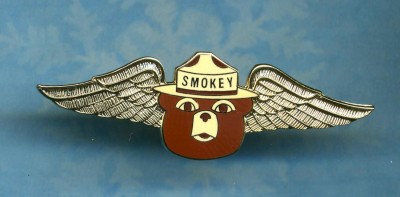 Gold Smokey Bear Pilot Wings Forest Fire Fighter Badge Pin WildFire SmokeJumper.jpg