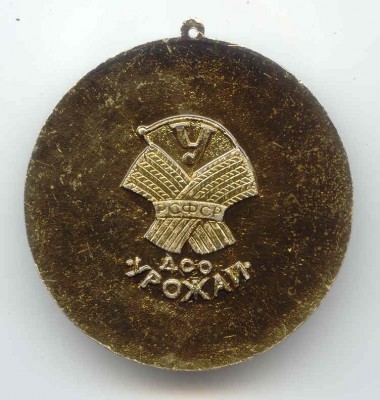 Медаль - реверс.jpg