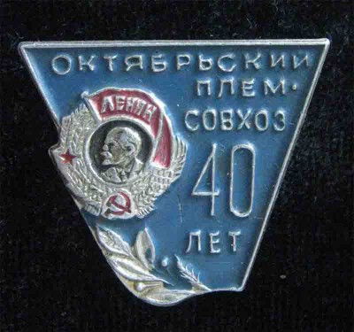 67.jpg