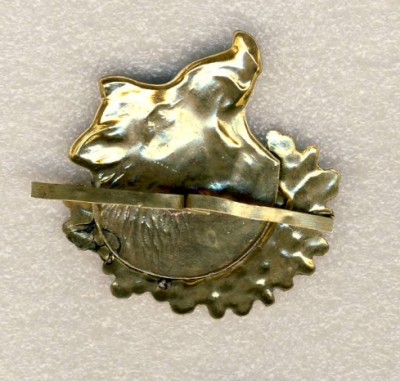 1кокарда охотника..jpg