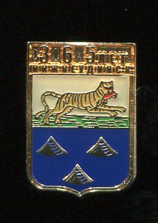 365 лет Нижнеудинску.jpg