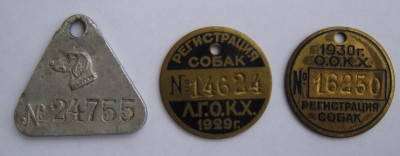 Собаки 20.jpg