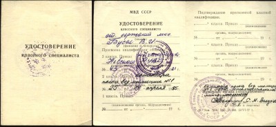 удо классного специалиста бусал ви.JPG