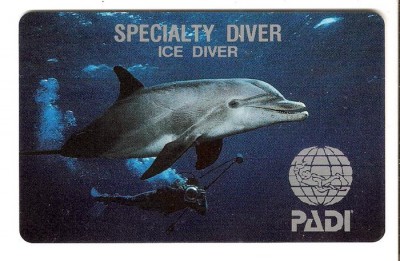 Ice Diver.jpg