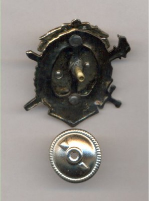 Тамбовская общеобразовательная школа-интернат с первоначальной лётной подготовкой1.jpg