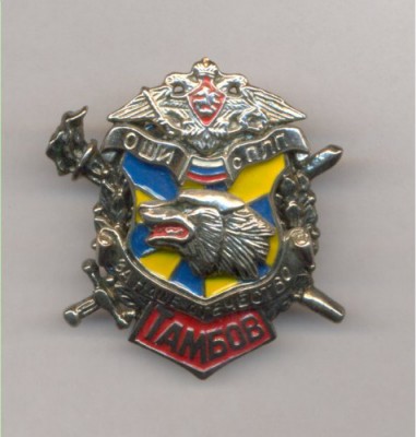 Тамбовская общеобразовательная школа-интернат с первоначальной лётной подготовкой.jpg