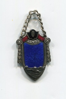 img994.jpg